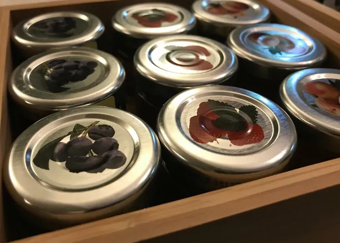 ホテル Capolago 3*